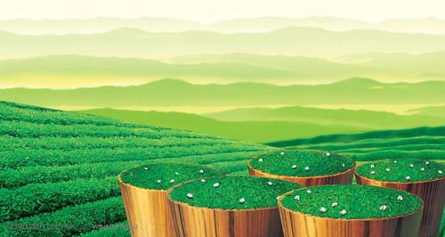 茶叶加盟店，市场多变经营者要学会多变