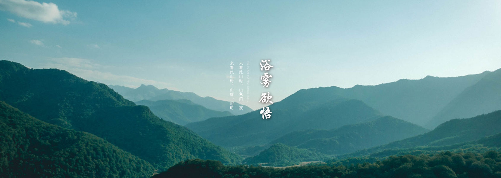 湖南某某网络科技有限公司