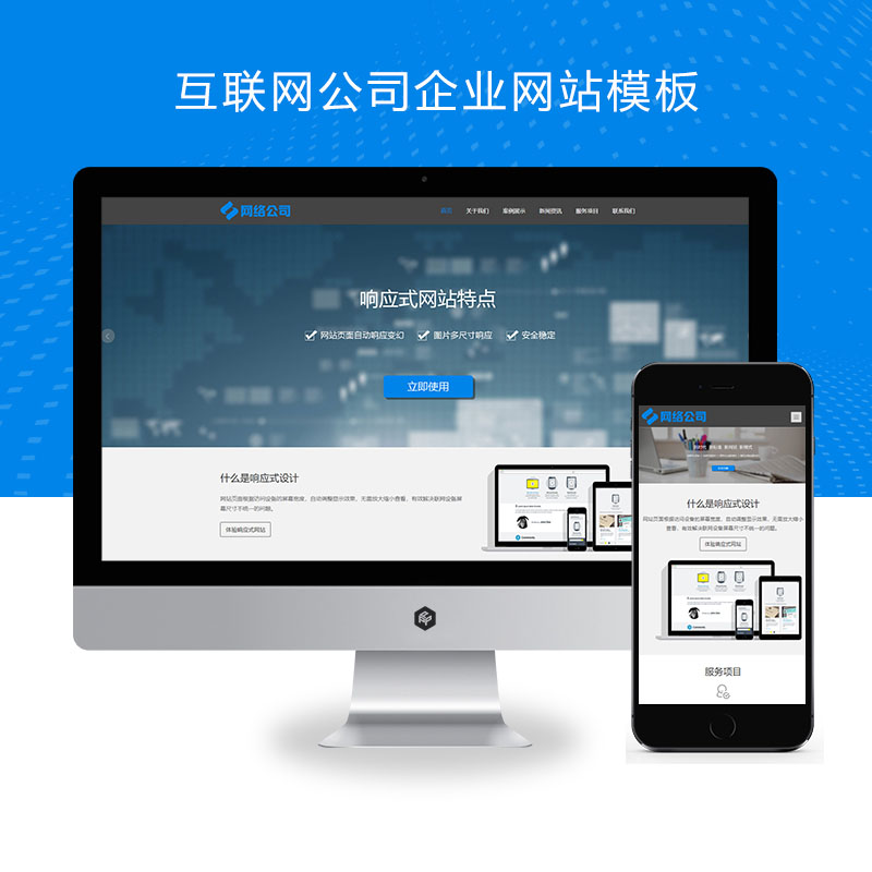 (自适应手机版)互联网公司企业网站模板 IT网络科技建站公司网站